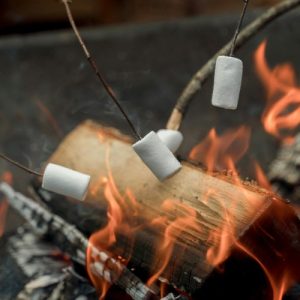 camping activities - camp adventures - camping programs - camping in uae - camping in the uae - camps in uae - camps in the uae - camp in the uae - camp in uae - 19